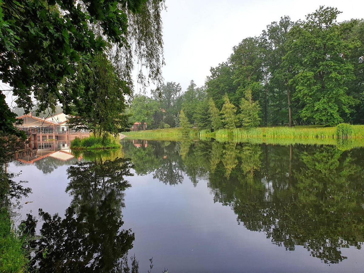 Stacja Nowa Gdynia Bed & Breakfast Aquapark ซเกียร์ซ ภายนอก รูปภาพ