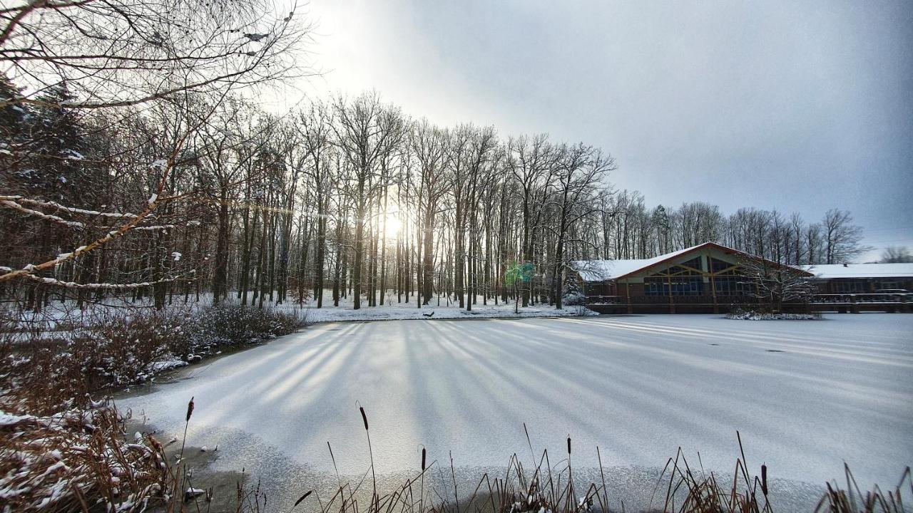 Stacja Nowa Gdynia Bed & Breakfast Aquapark ซเกียร์ซ ภายนอก รูปภาพ